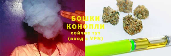дурь Краснотурьинск
