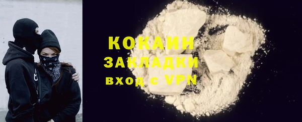 шишки Корсаков