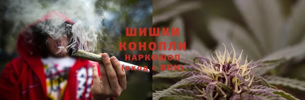 амф Коряжма
