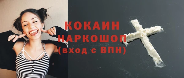 амф Коряжма