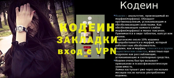 шишки Корсаков
