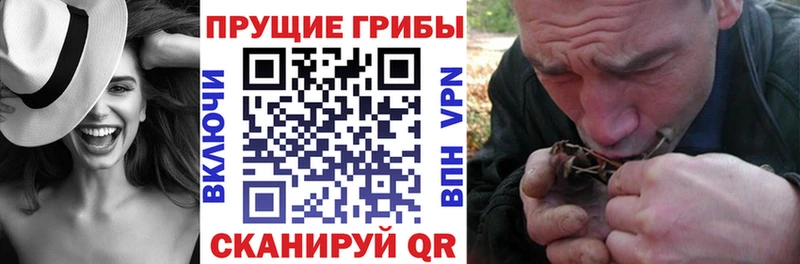 Галлюциногенные грибы прущие грибы  Красноуральск 